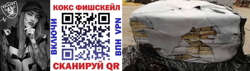 КОКАИН FishScale  Купить закладки  Зеленодольск 