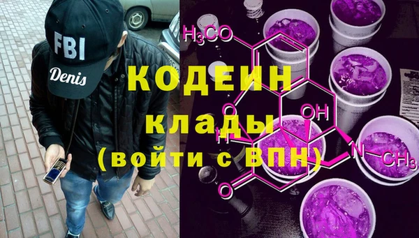 мет Няндома