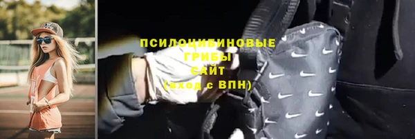 мет Няндома
