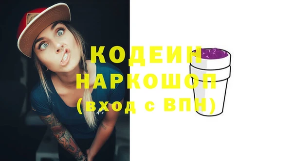 мет Няндома