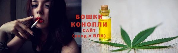 мет Няндома