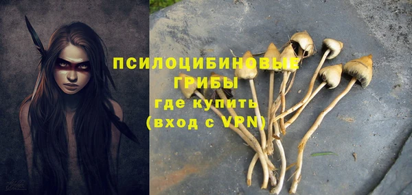 соль курить ск Нязепетровск