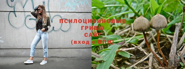 мет Няндома
