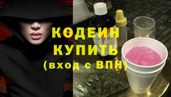 мет Няндома