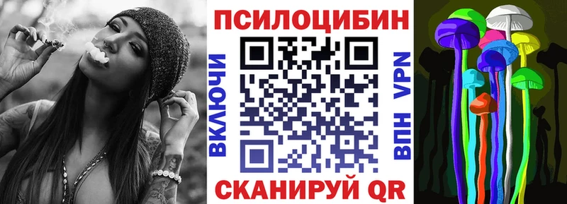 Купить закладки  Зеленодольск  Псилоцибиновые грибы мицелий 